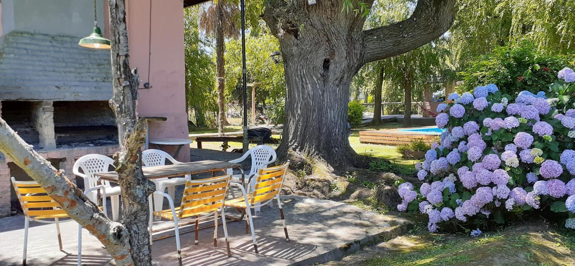 Villa Guitarra Negra à Tigre Extérieur photo