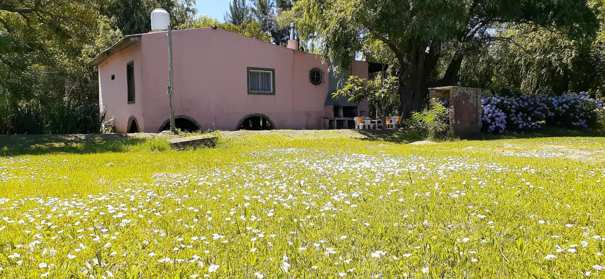 Villa Guitarra Negra à Tigre Extérieur photo