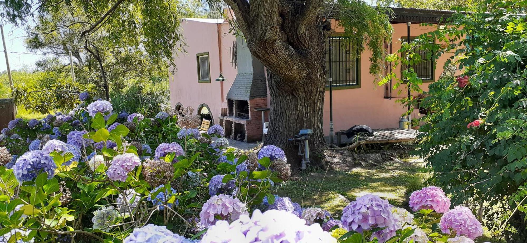 Villa Guitarra Negra à Tigre Extérieur photo