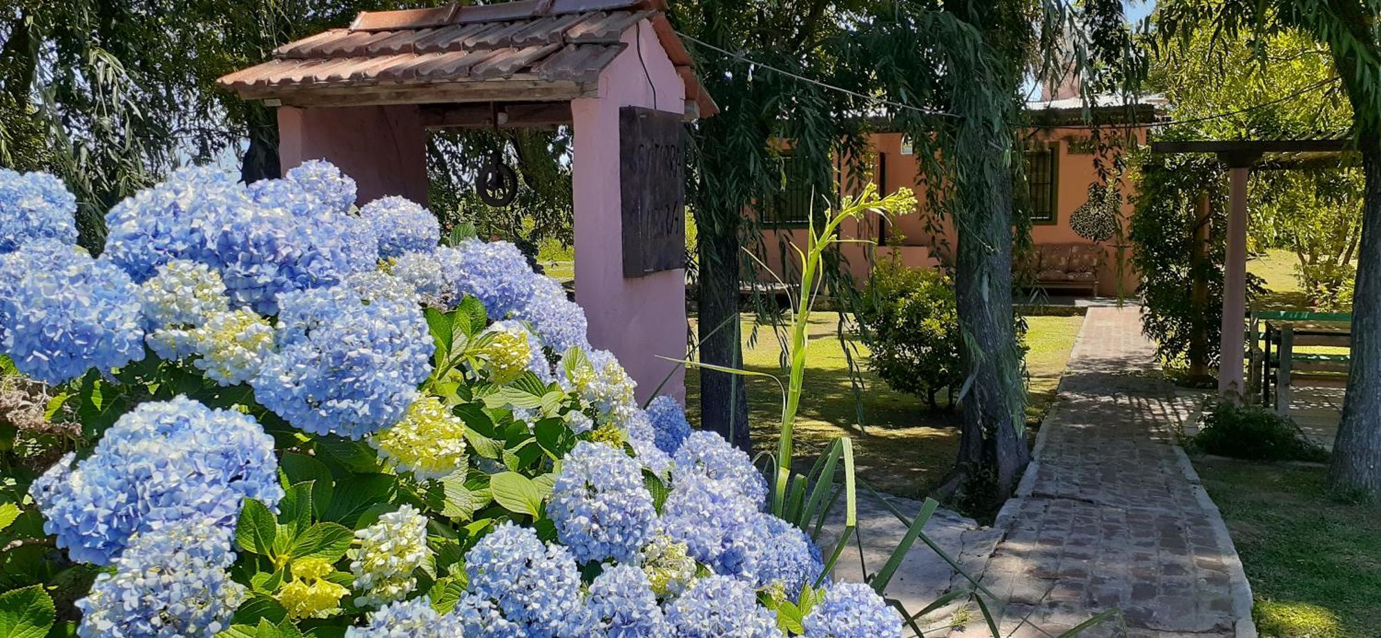 Villa Guitarra Negra à Tigre Extérieur photo