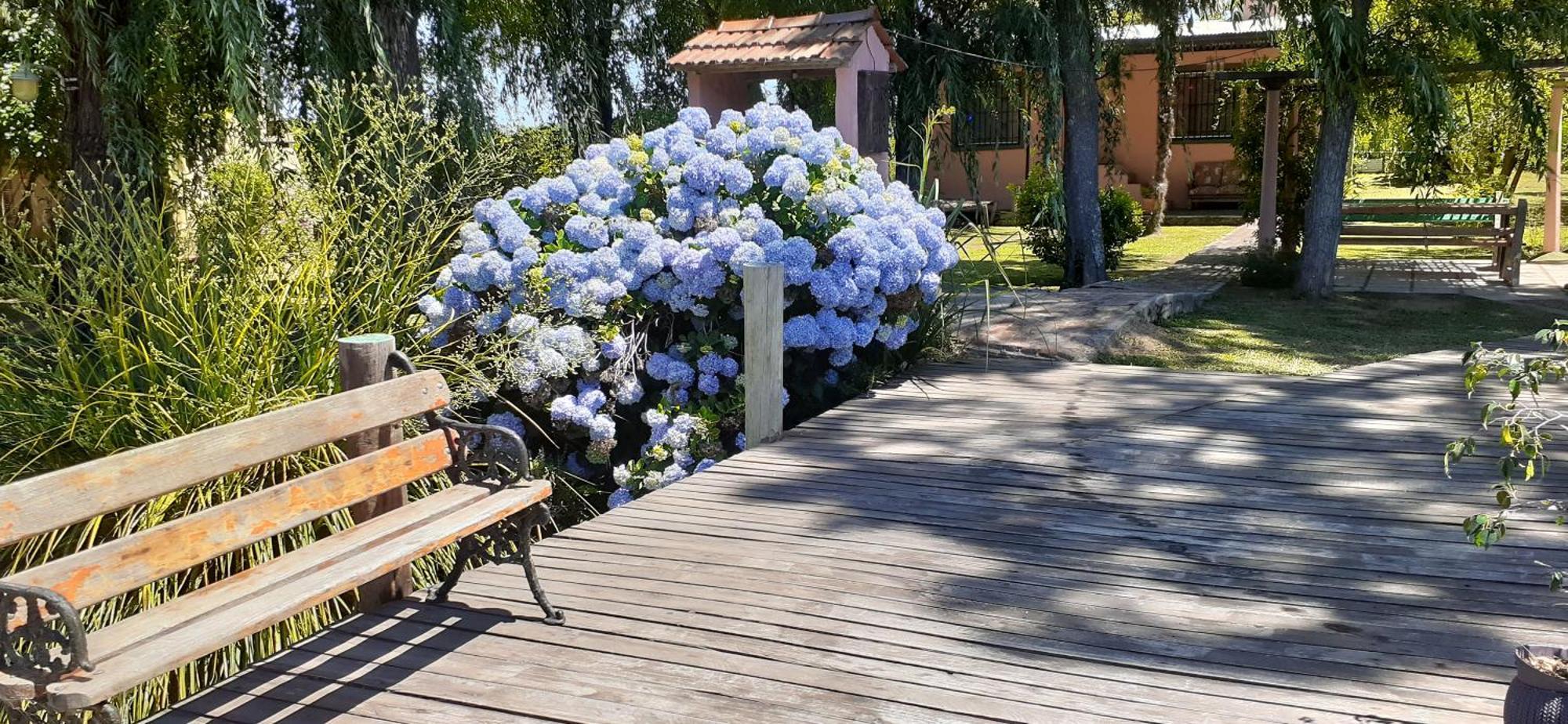 Villa Guitarra Negra à Tigre Extérieur photo